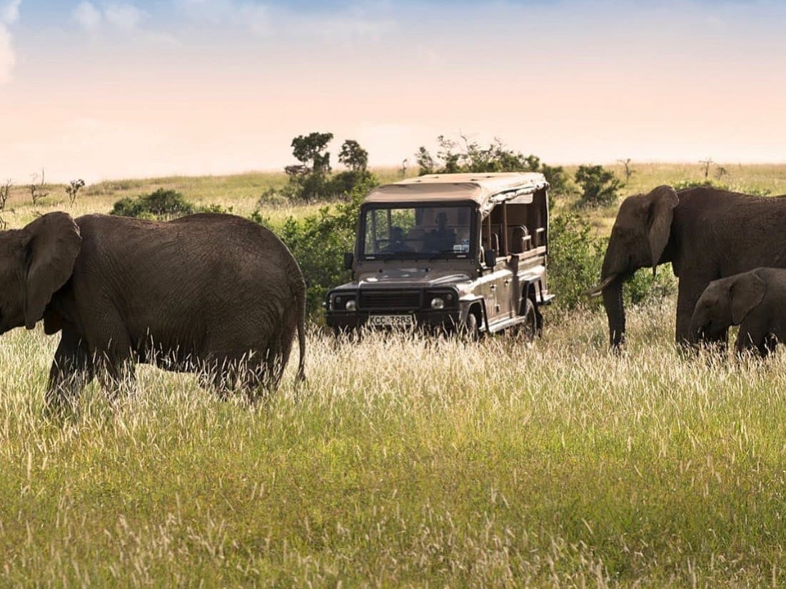 safari kenya agence de voyage